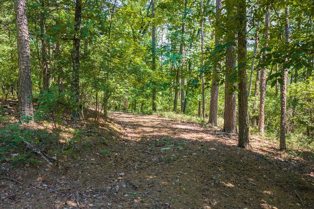 694-695 Railey Ridge, Ranger, GA 30734