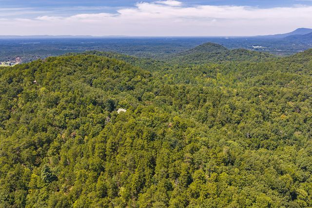 694-695 Railey Ridge, Ranger, GA 30734