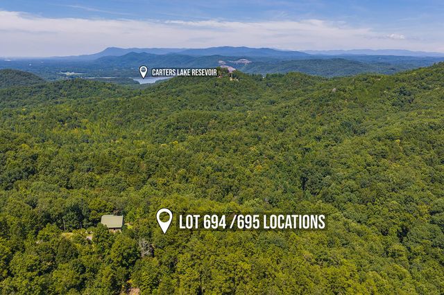 694-695 Railey Ridge, Ranger, GA 30734