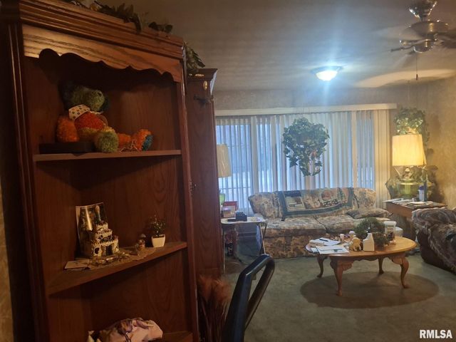 417 N TOEPFER Street, Tremont, IL 61568