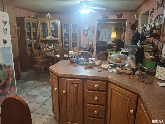 417 N TOEPFER Street, Tremont, IL 61568