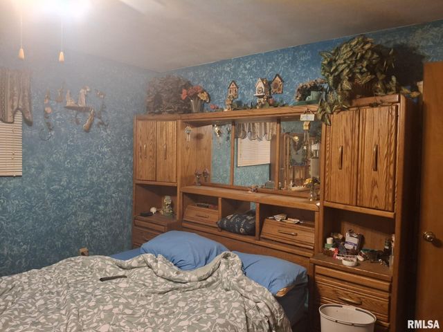 417 N TOEPFER Street, Tremont, IL 61568