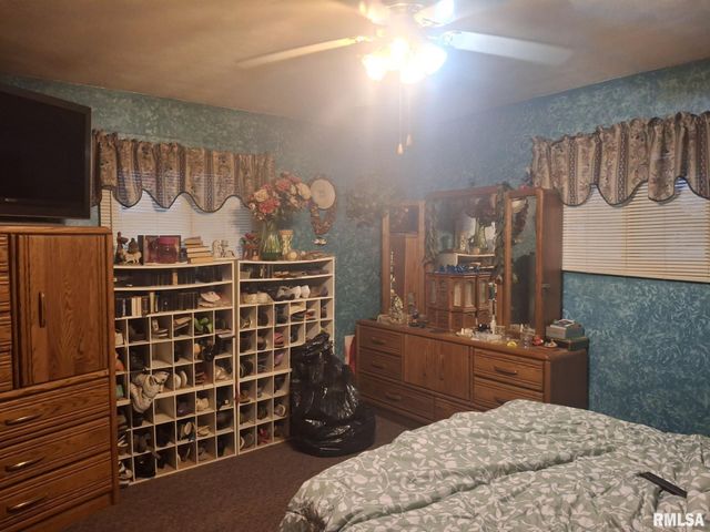 417 N TOEPFER Street, Tremont, IL 61568