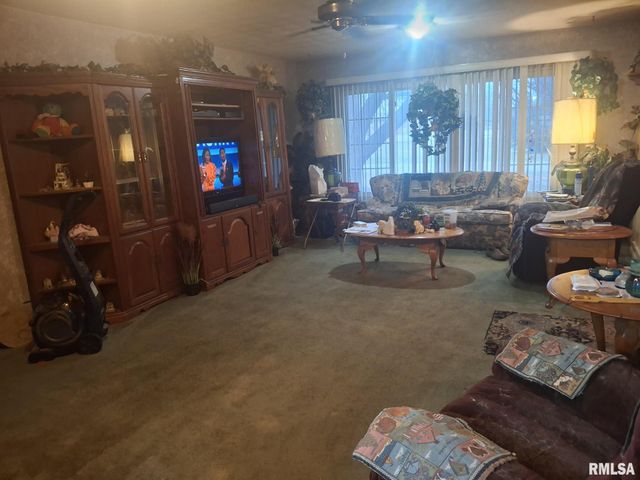 417 N TOEPFER Street, Tremont, IL 61568