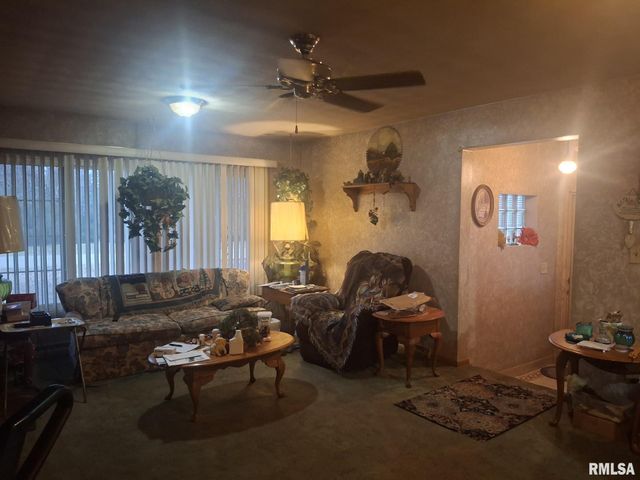 417 N TOEPFER Street, Tremont, IL 61568