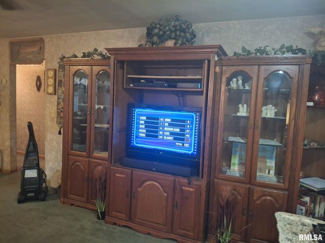 417 N TOEPFER Street, Tremont, IL 61568