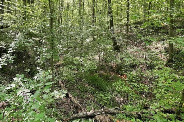 0 Shadow Wood Drive Lot 1, Monroe, GA 30656
