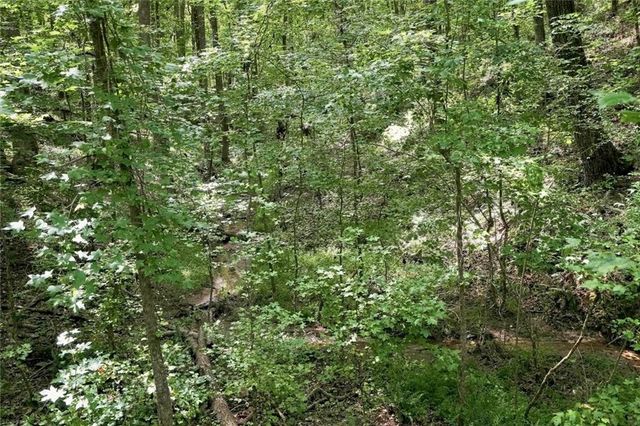 0 Shadow Wood Drive Lot 1, Monroe, GA 30656