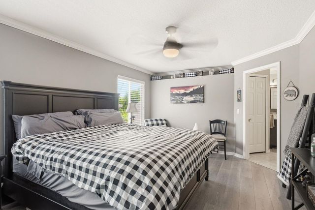 384 WINGATE CIRCLE, Oldsmar, FL 34677