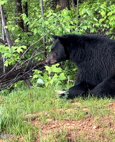 763 Ski View Lane, Sevierville, TN 37876