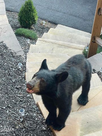 763 Ski View Lane, Sevierville, TN 37876