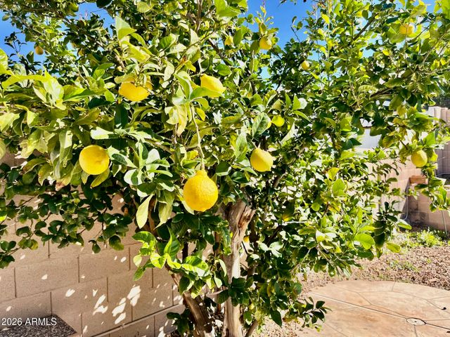 1701 E YUKON Drive, Phoenix, AZ 85024