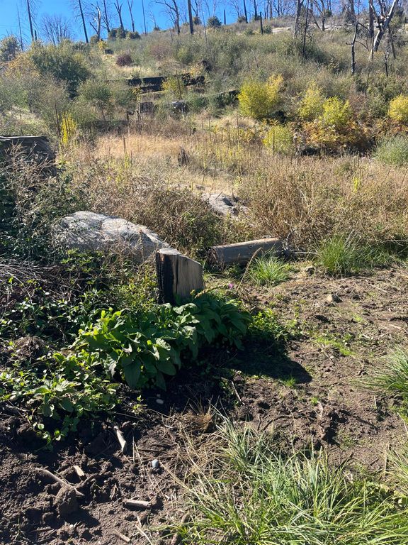 43548 Alder Springs Road, Auberry, CA 93602