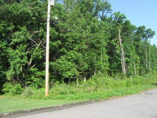 0 Hickory Ridge Trail 219, Ringgold, GA 30736