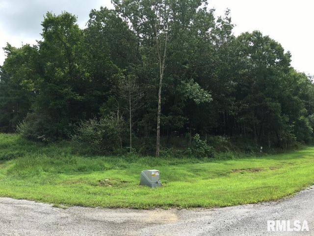 lot 287 Parrish Ridge Lane, Goreville, IL 62972