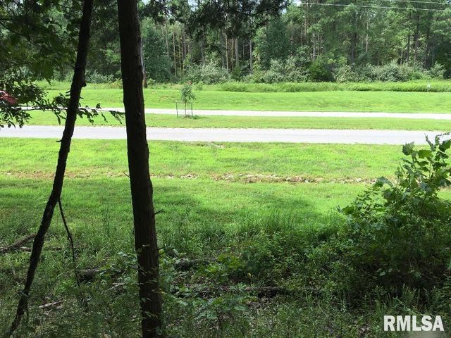 lot 287 Parrish Ridge Lane, Goreville, IL 62972