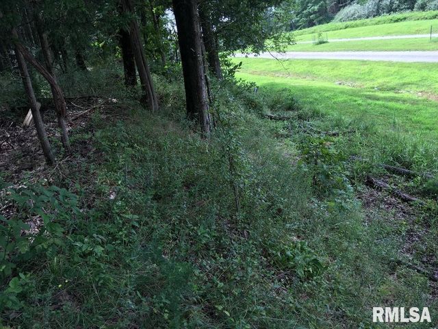 lot 287 Parrish Ridge Lane, Goreville, IL 62972