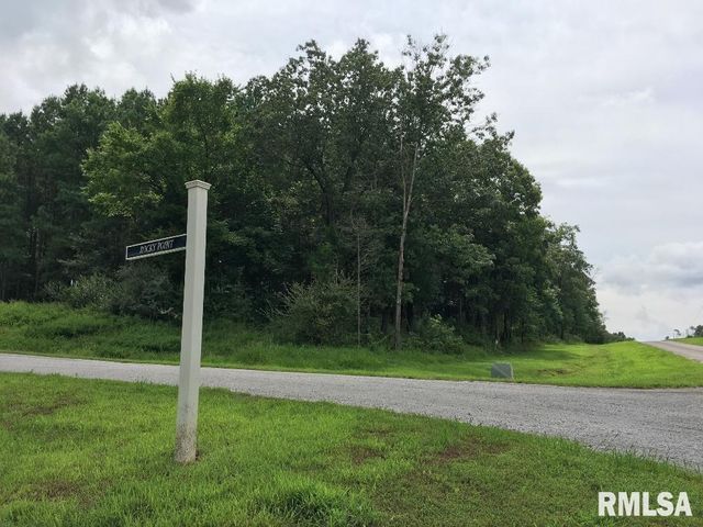 lot 287 Parrish Ridge Lane, Goreville, IL 62972
