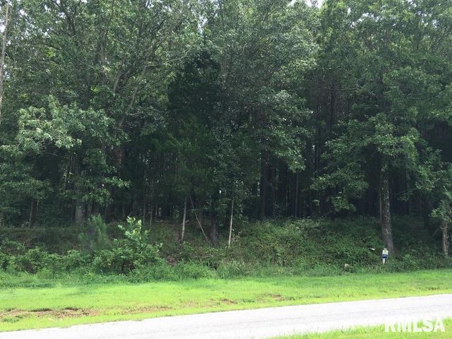 lot 287 Parrish Ridge Lane, Goreville, IL 62972