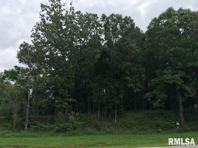 lot 287 Parrish Ridge Lane, Goreville, IL 62972