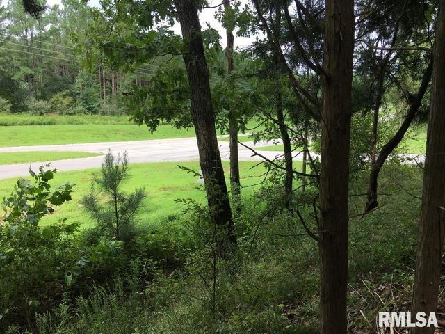 lot 287 Parrish Ridge Lane, Goreville, IL 62972