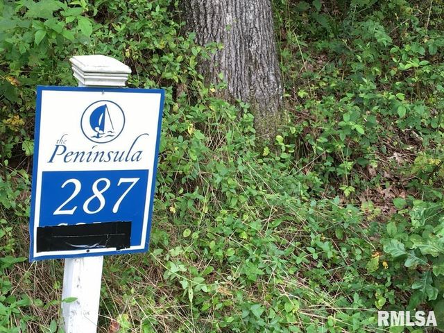 lot 287 Parrish Ridge Lane, Goreville, IL 62972
