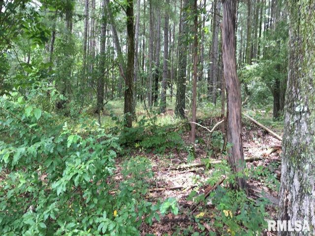 lot 287 Parrish Ridge Lane, Goreville, IL 62972
