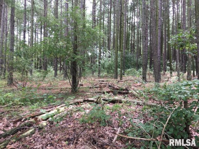 lot 287 Parrish Ridge Lane, Goreville, IL 62972