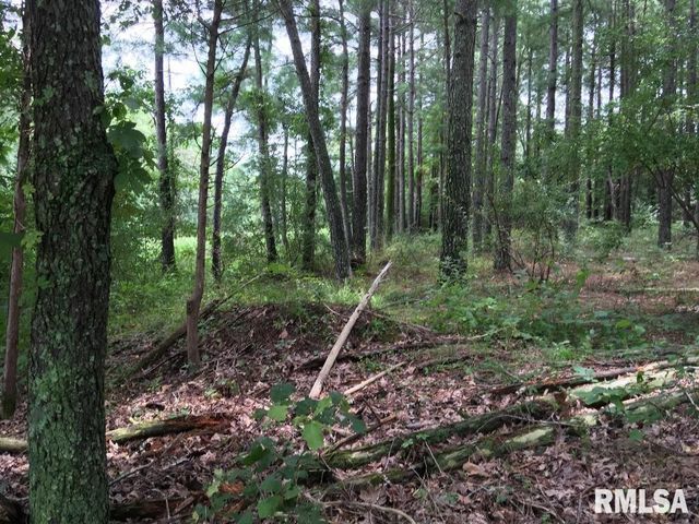 lot 287 Parrish Ridge Lane, Goreville, IL 62972