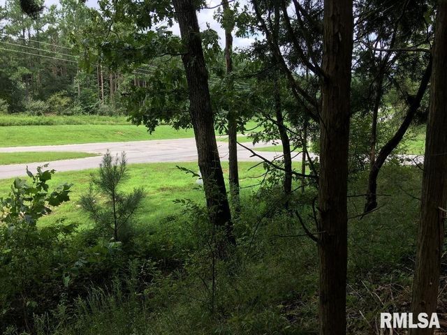 lot 287 Parrish Ridge Lane, Goreville, IL 62972