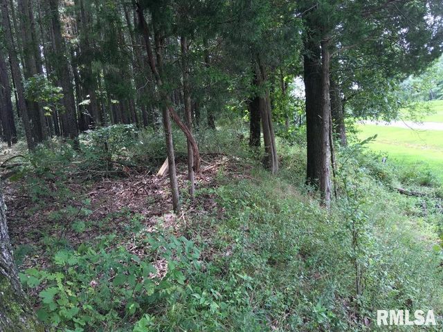 lot 287 Parrish Ridge Lane, Goreville, IL 62972