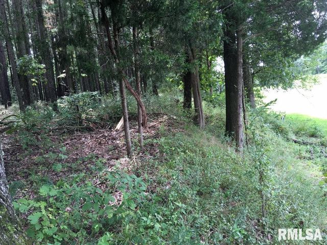 lot 287 Parrish Ridge Lane, Goreville, IL 62972