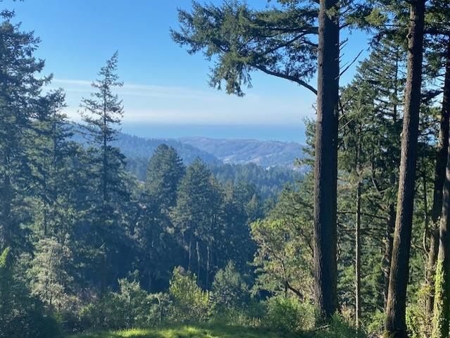 47 Forest View Road, Woodside, CA 94062