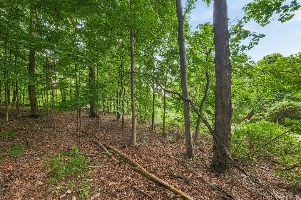 Brewer Road, Newburgh, NY 12550 — photo 4