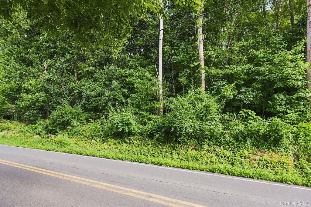 Brewer Road, Newburgh, NY 12550 — photo 5