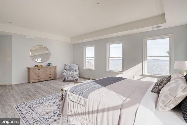 311 TWIN MEADOWS FARM LN, Centreville, MD 21617