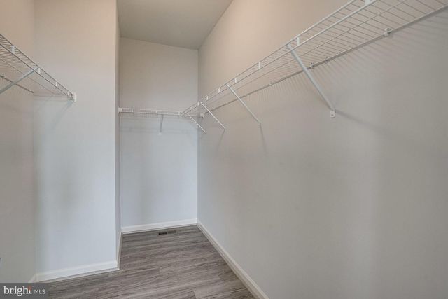 311 TWIN MEADOWS FARM LN, Centreville, MD 21617