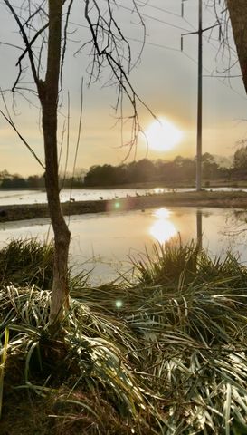 51 Timberlake Dr, Fayetteville, TN 37334