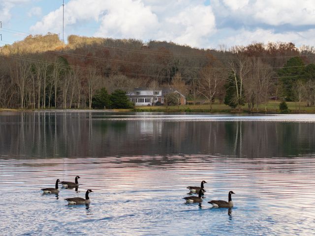 51 Timberlake Dr, Fayetteville, TN 37334