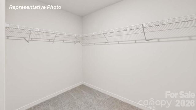 10012 Dancing Crane Lane, Charlotte, NC 28215