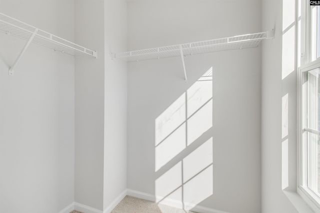 3651 Stedding Place, Lexington, SC 29073