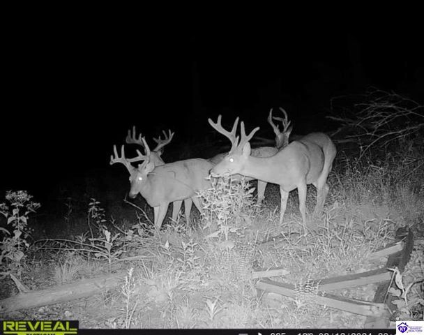 2170 Petersburg Road, Boston, KY 40107