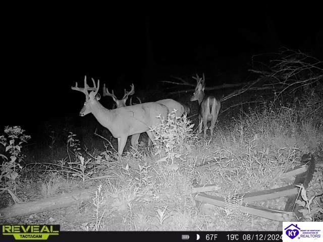 2170 Petersburg Road, Boston, KY 40107