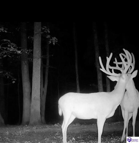 2170 Petersburg Road, Boston, KY 40107