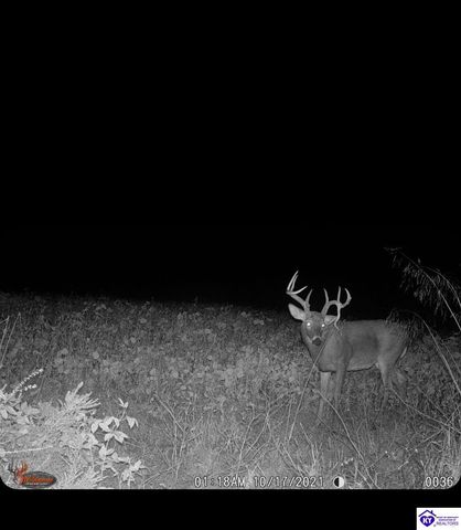 2170 Petersburg Road, Boston, KY 40107