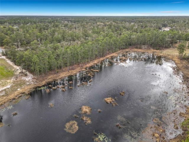 NUTMEG AVENUE, Eustis, FL 32736