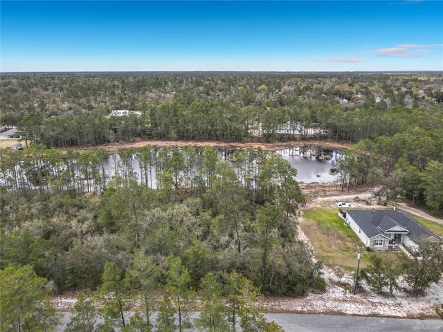 NUTMEG AVENUE, Eustis, FL 32736