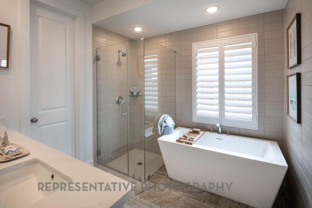 2426 Guava Hills Lane, Manvel, TX 77578