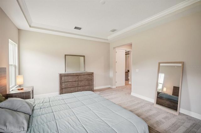 14292 SWISS BRIDGE DRIVE, Riverview, FL 33579
