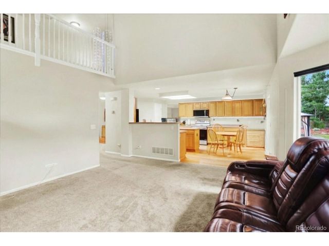 1080 Oldfield St, Castle Rock, CO 80104